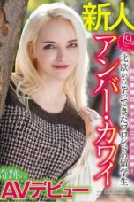 WAWA 036